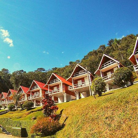 Hotel Da Mata ไมริโปรัง ภายนอก รูปภาพ